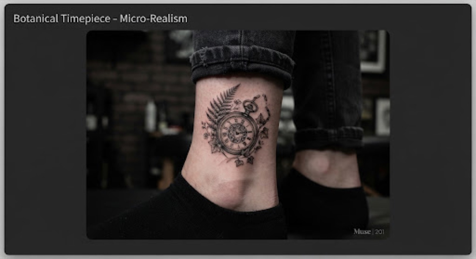 Muse portfolio image 4