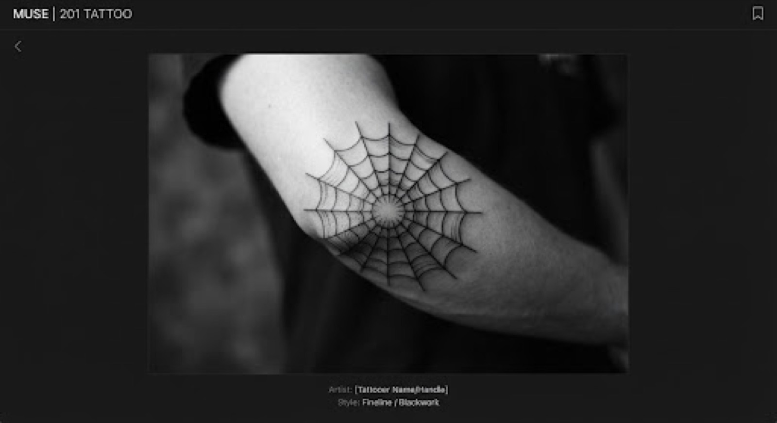 Muse portfolio image 6